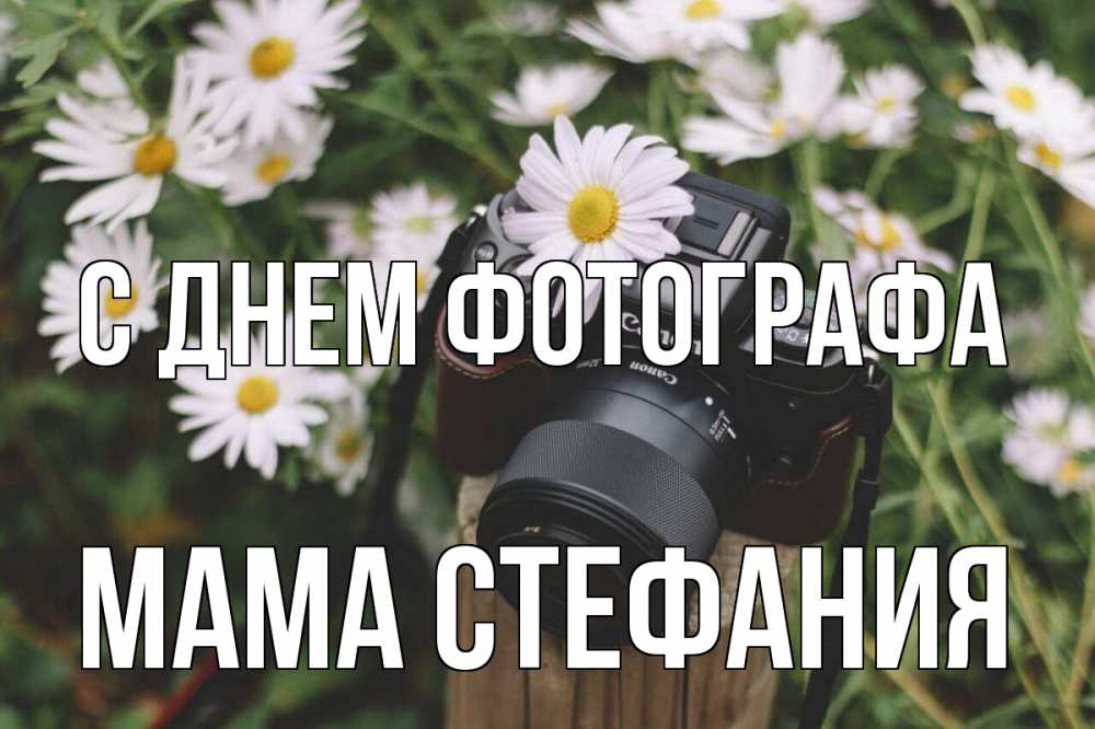 Открытка на каждый день с именем, Мама-Стефания С днем фотографа с днем фотографа Прикольная открытка с пожеланием онлайн скачать бесплатно 
