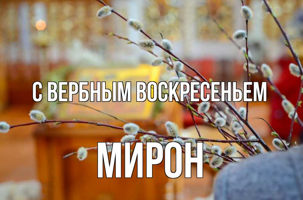 Открытка на каждый день с именем, Мирон С вербным воскресеньем верба Прикольная открытка с пожеланием онлайн скачать бесплатно 