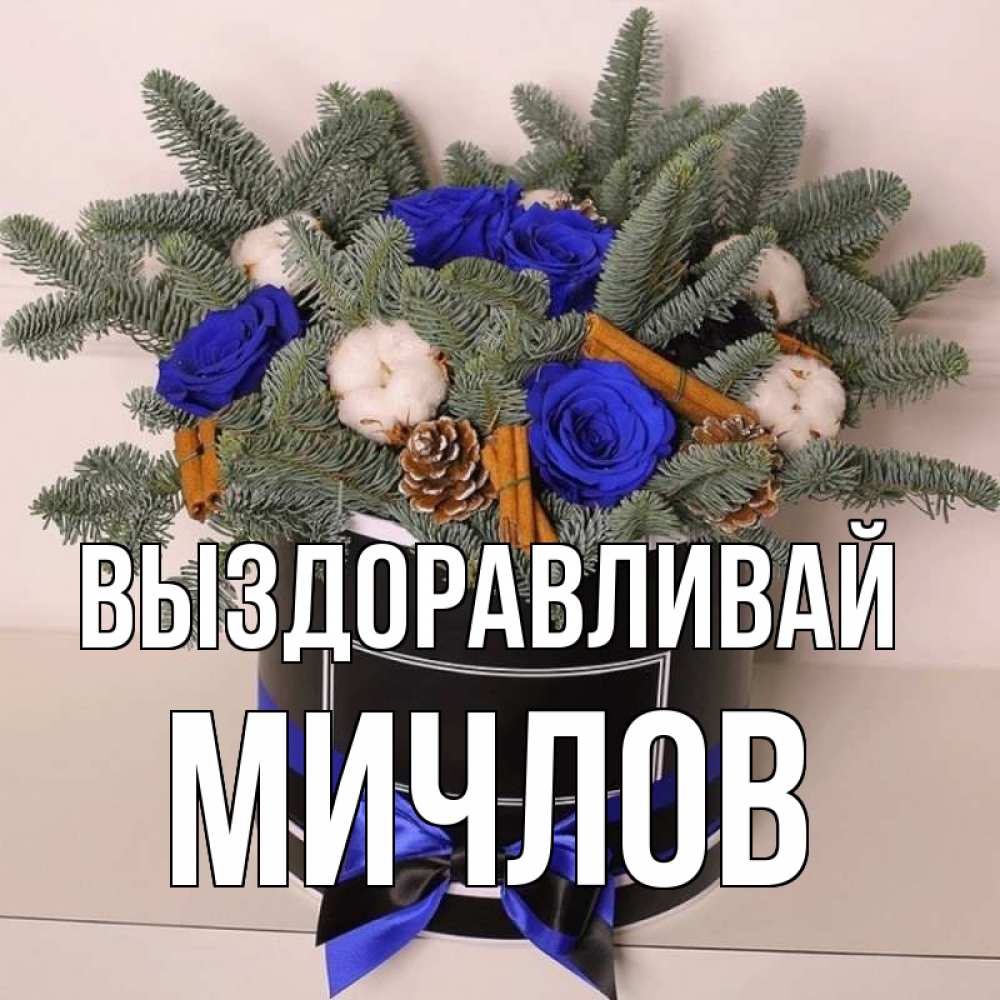 Открытка на каждый день с именем, Мичлов Выздоравливай короче кто то загрузил эти шишки Прикольная открытка с пожеланием онлайн скачать бесплатно 