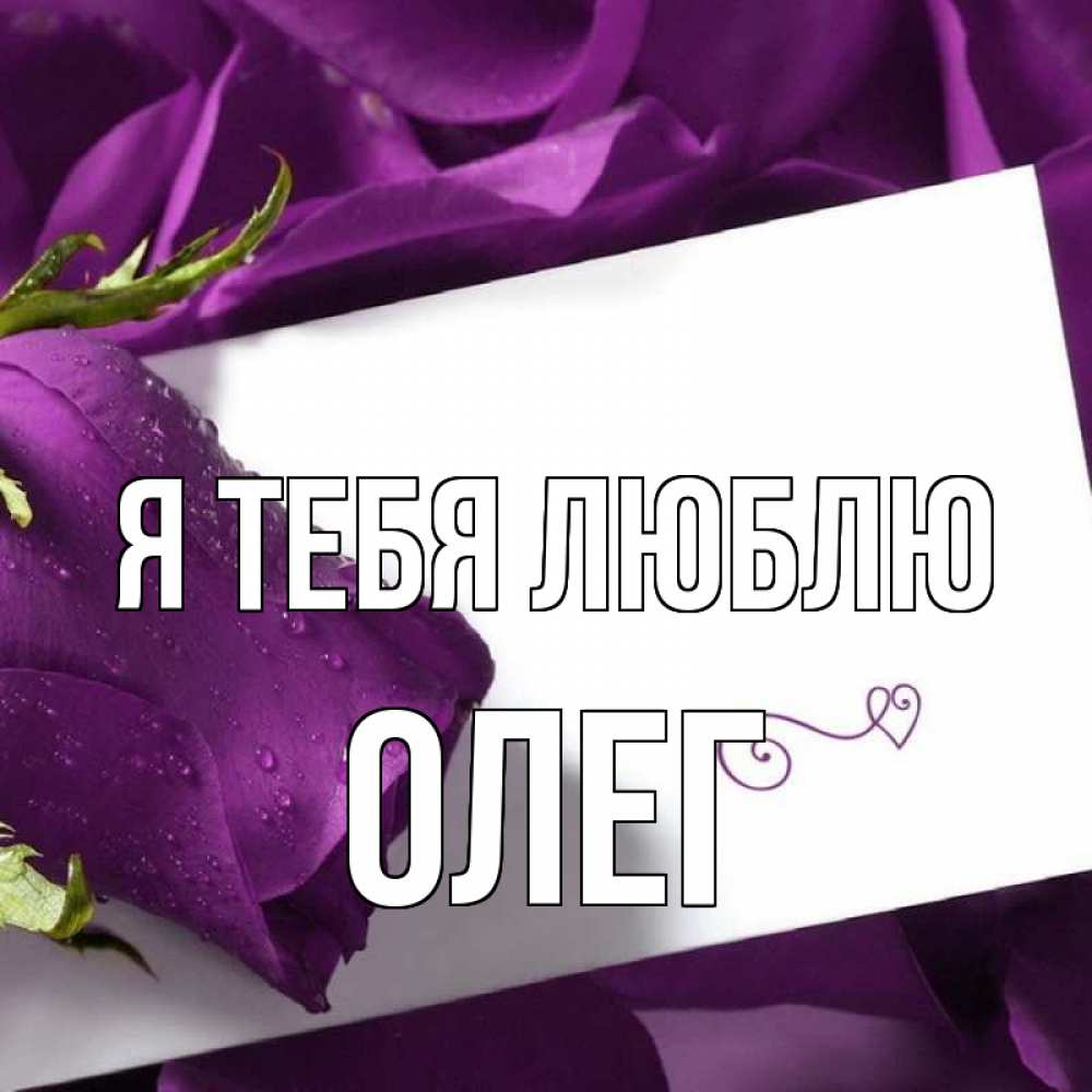 Открытка на каждый день с именем, Олег Я тебя люблю роза Прикольная открытка с пожеланием онлайн скачать бесплатно 
