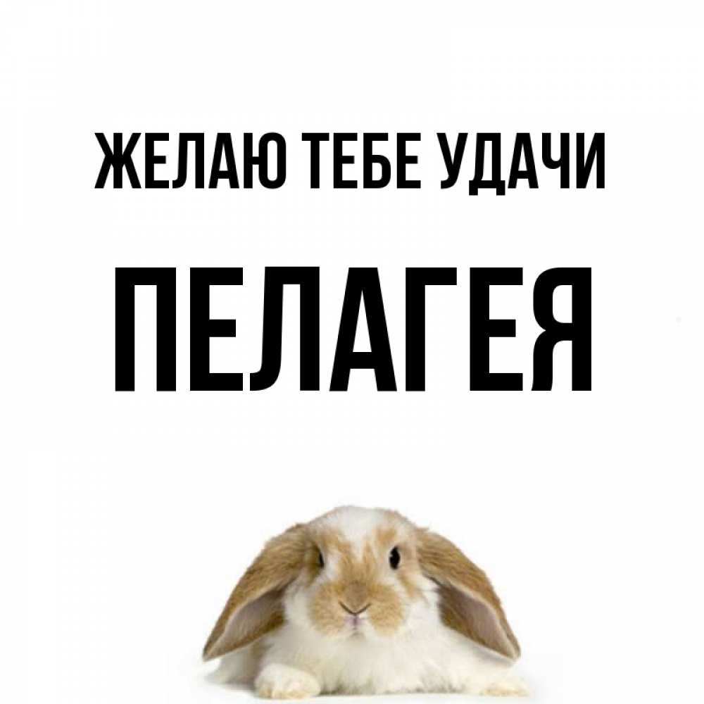 Открытка на каждый день с именем, Пелагея Желаю тебе удачи открытки с произвольным текстом который можно вставить в открытку и создать ее самостоятельно бесплатно онлайн Прикольная открытка с пожеланием онлайн скачать бесплатно 