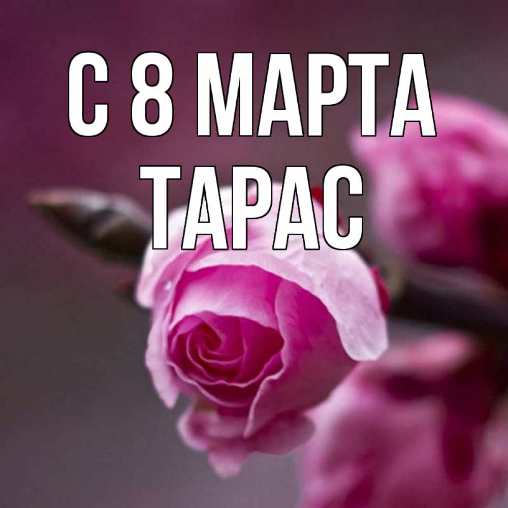 Открытка на каждый день с именем, Тарас С 8 МАРТА весна Прикольная открытка с пожеланием онлайн скачать бесплатно 