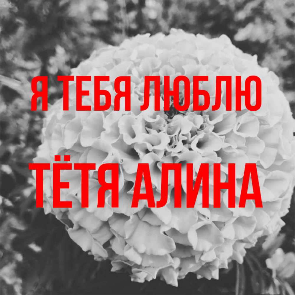 Открытка на каждый день с именем, Тётя-Алина Я тебя люблю подпись Прикольная открытка с пожеланием онлайн скачать бесплатно 