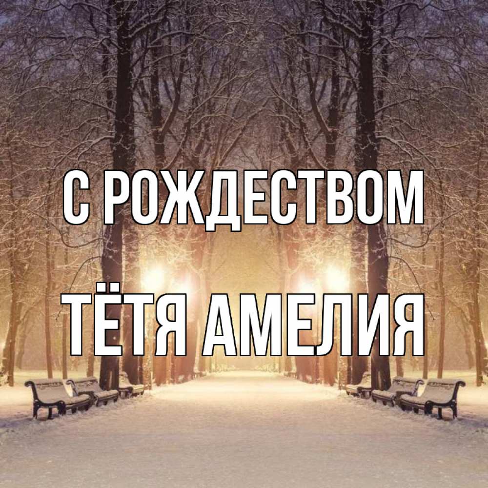 Открытка на каждый день с именем, Тётя-Амелия С рождеством зима, парк, фонарь, лес Прикольная открытка с пожеланием онлайн скачать бесплатно 