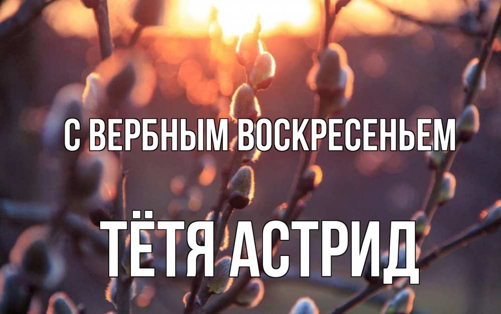 Открытка на каждый день с именем, Тётя-Астрид С вербным воскресеньем верба Прикольная открытка с пожеланием онлайн скачать бесплатно 