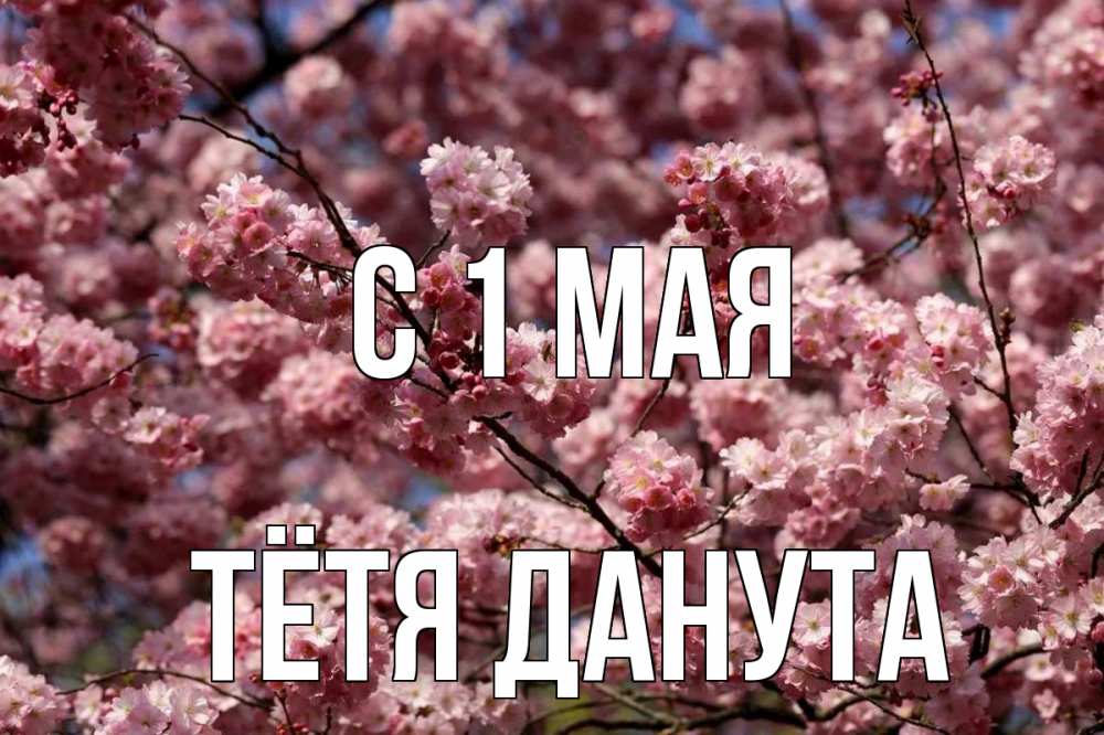 Открытка на каждый день с именем, Тётя-Данута С 1 мая С 1 мая Прикольная открытка с пожеланием онлайн скачать бесплатно 