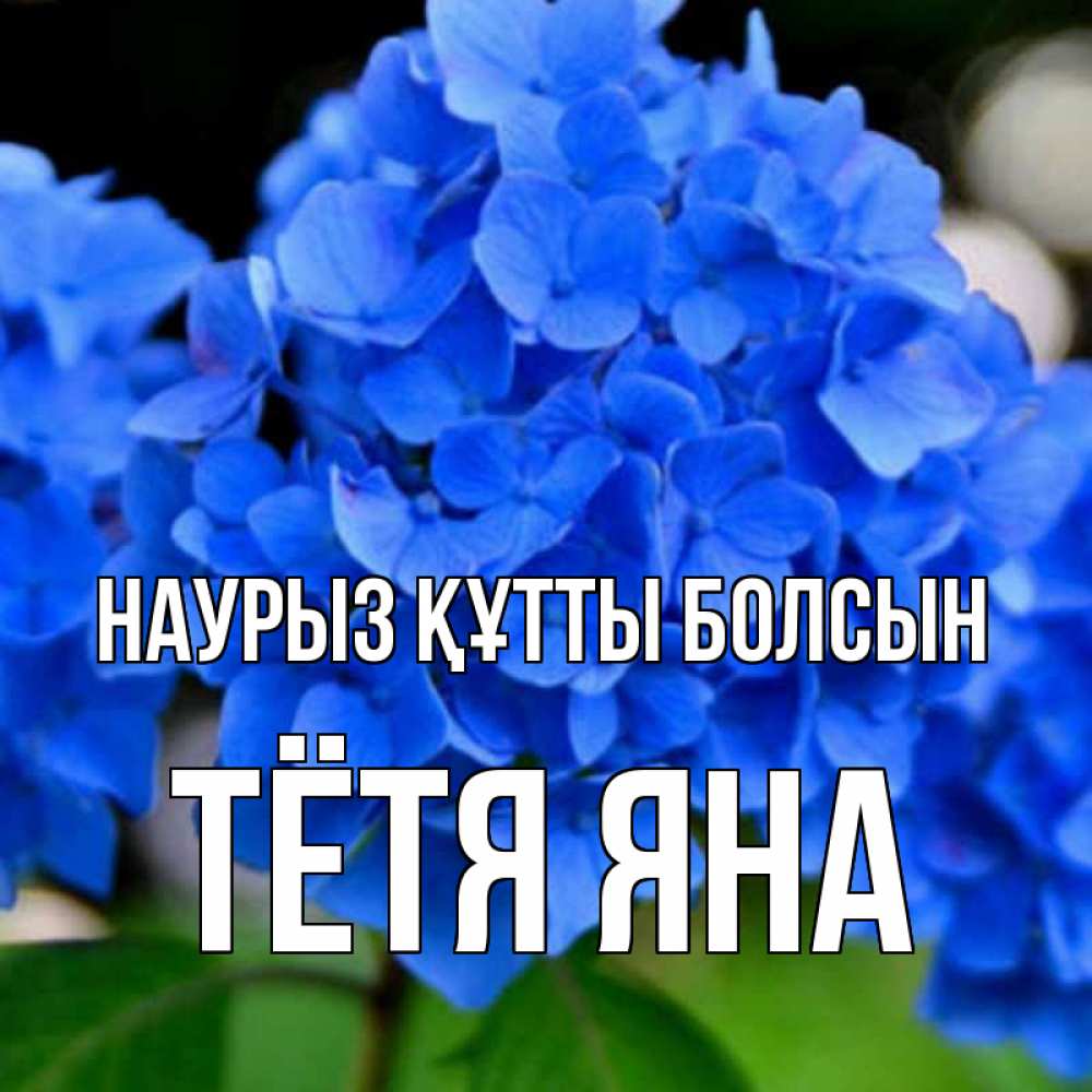 Открытка на каждый день с именем, Тётя-Яна Наурыз құтты болсын синие цветы Прикольная открытка с пожеланием онлайн скачать бесплатно 
