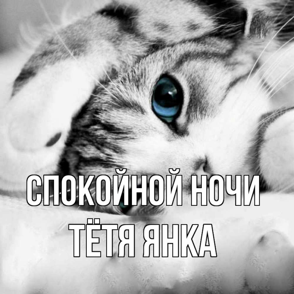Открытка на каждый день с именем, Тётя-Янка Спокойной ночи кот устал Прикольная открытка с пожеланием онлайн скачать бесплатно 