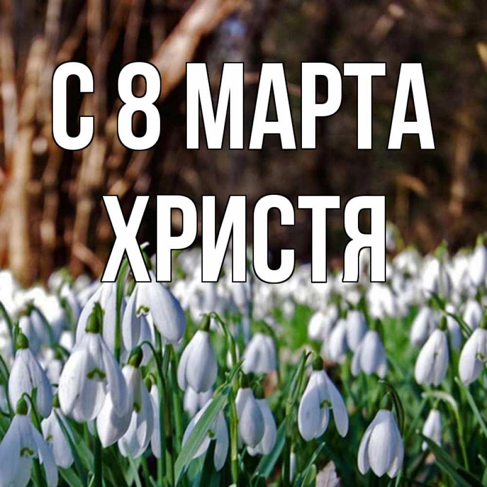 Открытка на каждый день с именем, Христя С 8 МАРТА с подснежниками 1 Прикольная открытка с пожеланием онлайн скачать бесплатно 