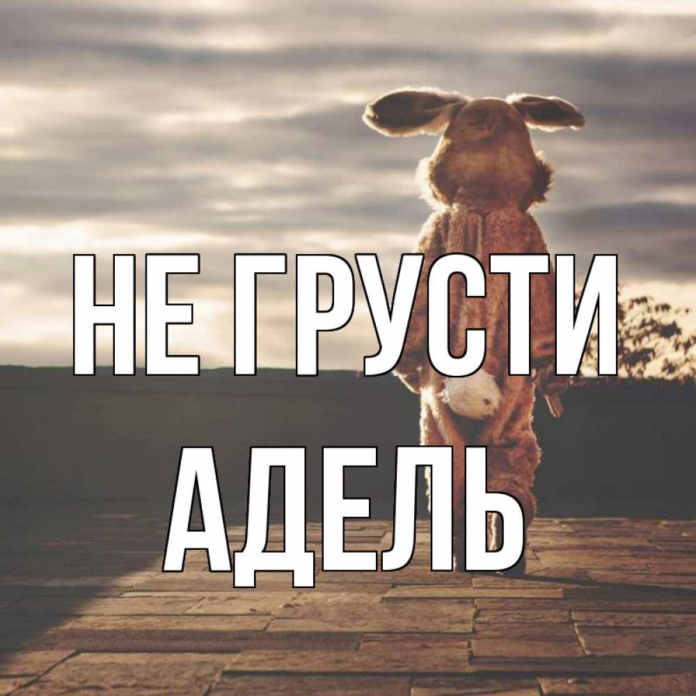 Открытка на каждый день с именем, Адель Не грусти со спины Прикольная открытка с пожеланием онлайн скачать бесплатно 