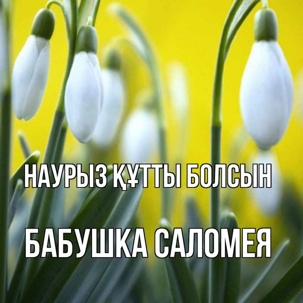 Открытка на каждый день с именем, Бабушка-Саломея Наурыз құтты болсын весенние цветы Прикольная открытка с пожеланием онлайн скачать бесплатно 