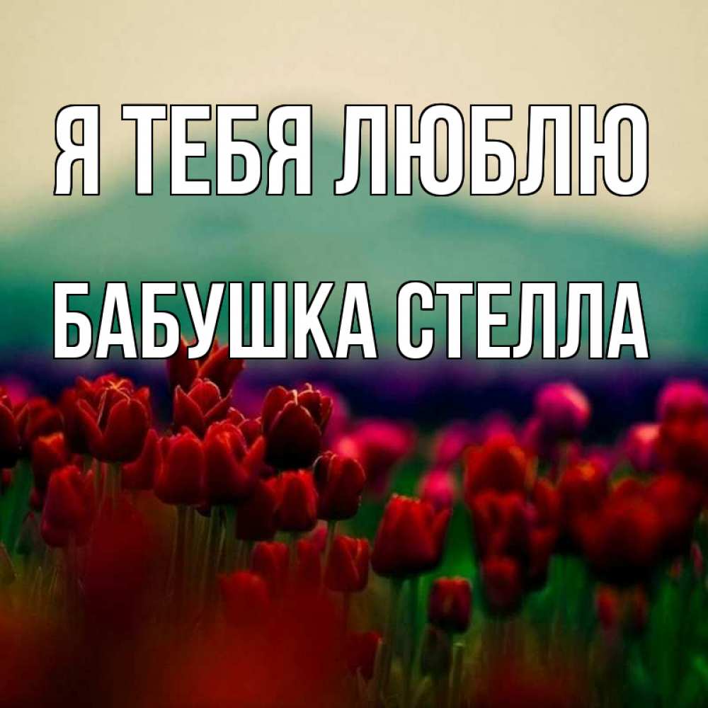Открытка на каждый день с именем, Бабушка-Стелла Я тебя люблю тюльпаны 4 Прикольная открытка с пожеланием онлайн скачать бесплатно 