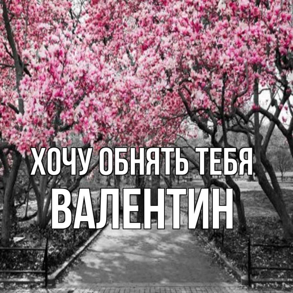 Открытка на каждый день с именем, Валентин Хочу обнять тебя обработанное фото Прикольная открытка с пожеланием онлайн скачать бесплатно 