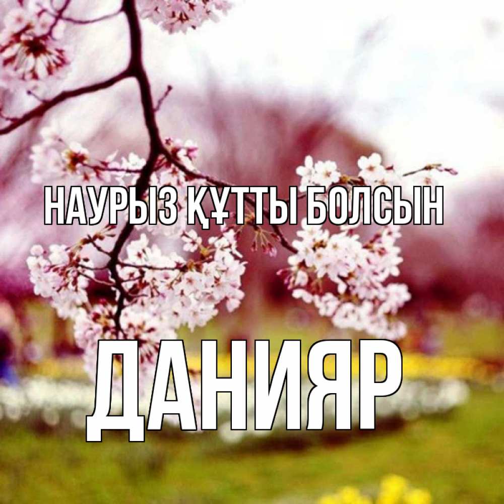 Открытка на каждый день с именем, Данияр Наурыз құтты болсын яблоня Прикольная открытка с пожеланием онлайн скачать бесплатно 