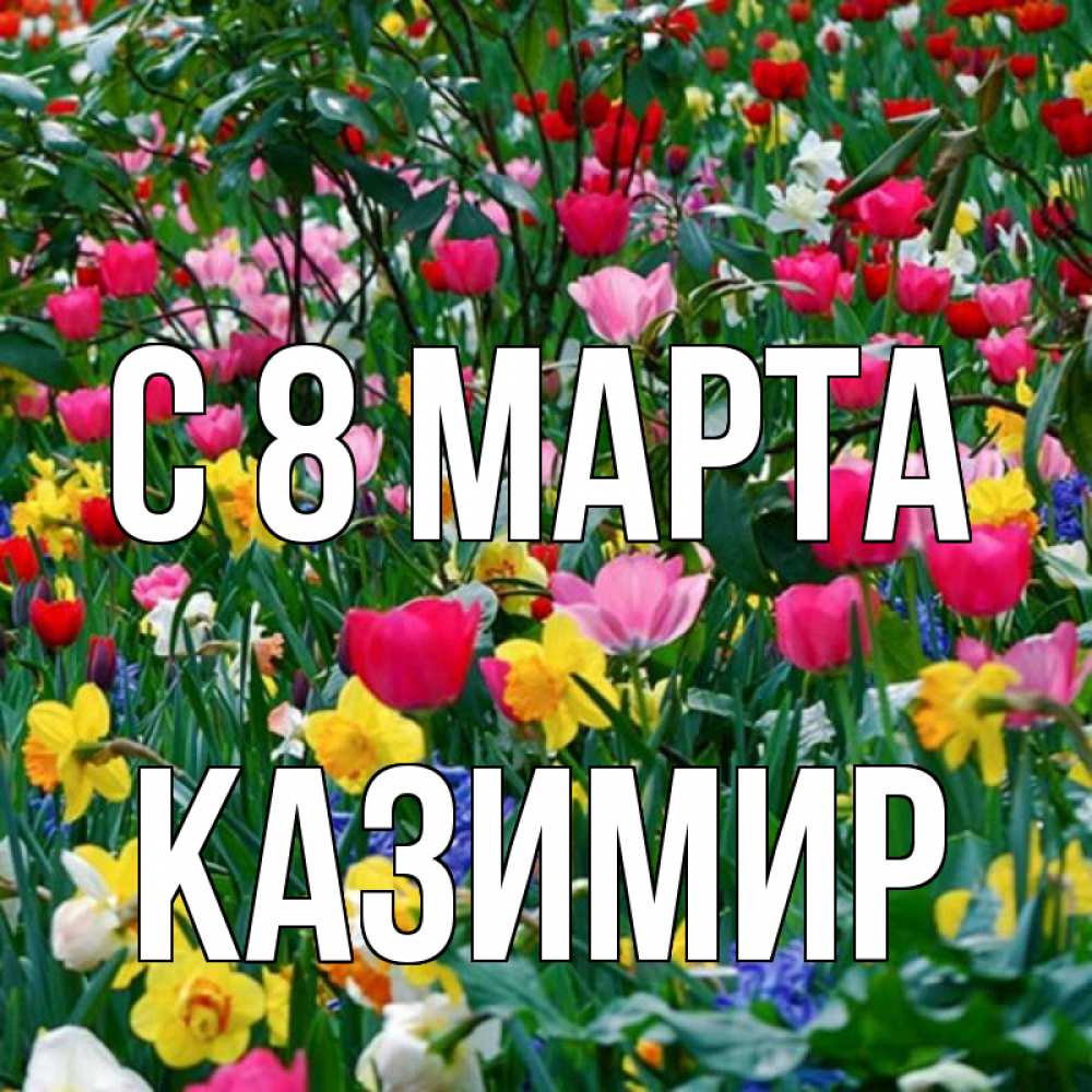 Открытка на каждый день с именем, Казимир С 8 МАРТА с международным женским днем поздравления для женщины Прикольная открытка с пожеланием онлайн скачать бесплатно 