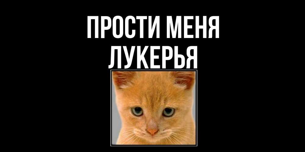 Открытка на каждый день с именем, Лукерья Прости меня рыжий грустный кот просит прощения Прикольная открытка с пожеланием онлайн скачать бесплатно 