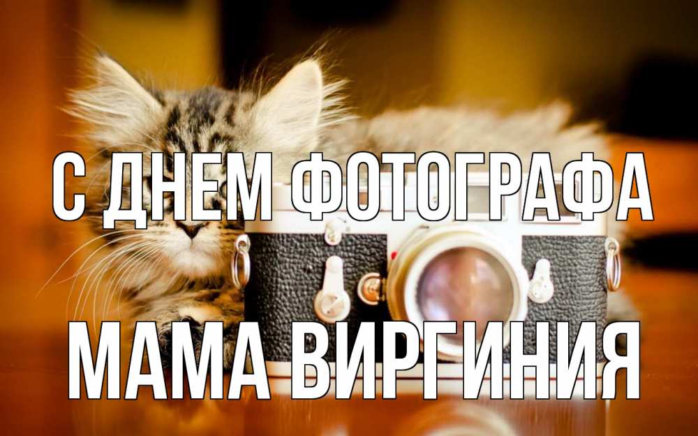 Открытка на каждый день с именем, Мама-Виргиния С днем фотографа с днем фотографа Прикольная открытка с пожеланием онлайн скачать бесплатно 