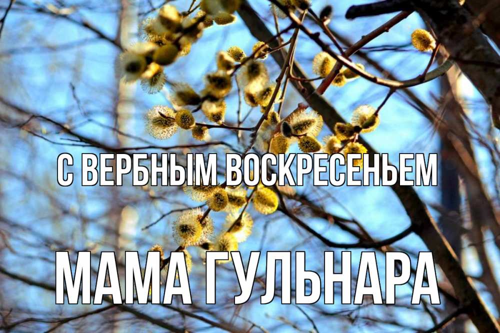 Открытка на каждый день с именем, Мама-Гульнара С вербным воскресеньем верба Прикольная открытка с пожеланием онлайн скачать бесплатно 