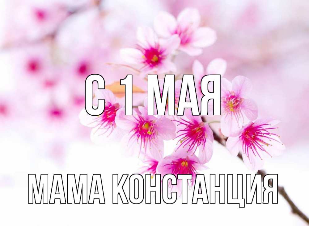 Открытка на каждый день с именем, Мама-Констанция С 1 мая С 1 мая 2 Прикольная открытка с пожеланием онлайн скачать бесплатно 