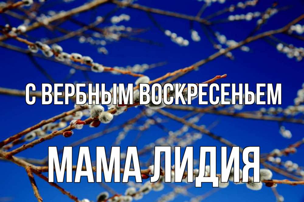 Открытка на каждый день с именем, Мама-Лидия С вербным воскресеньем верба Прикольная открытка с пожеланием онлайн скачать бесплатно 