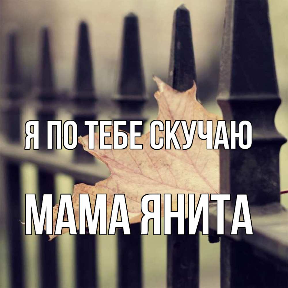 Открытка на каждый день с именем, Мама-Янита Я по тебе скучаю очень скучно Прикольная открытка с пожеланием онлайн скачать бесплатно 