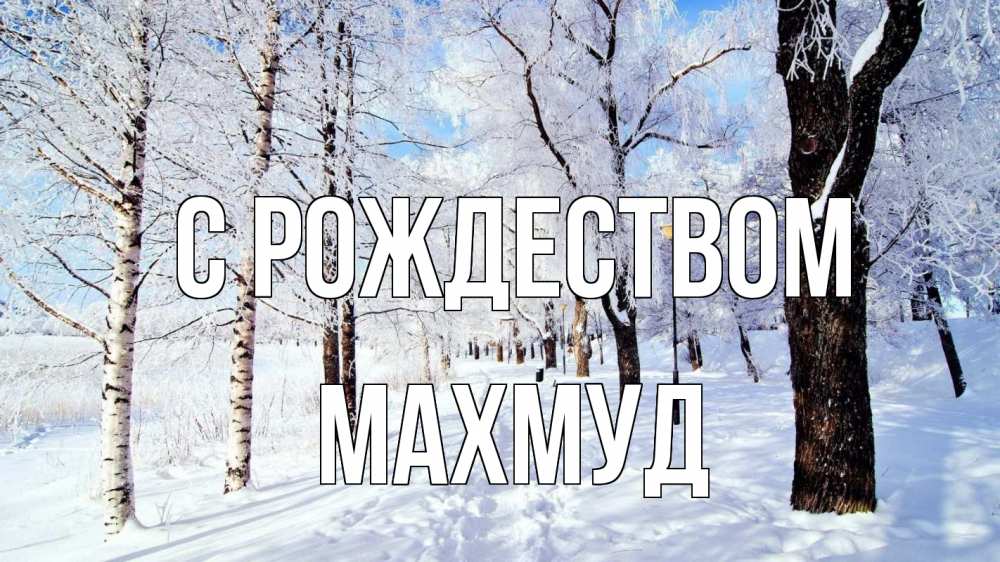 Открытка на каждый день с именем, Махмуд С рождеством зимний лес Прикольная открытка с пожеланием онлайн скачать бесплатно 