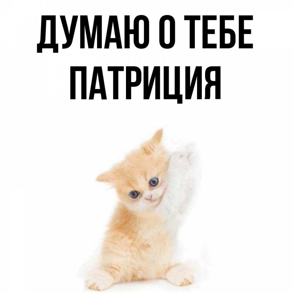 Открытка на каждый день с именем, Патриция Думаю о тебе зверушки и милота Прикольная открытка с пожеланием онлайн скачать бесплатно 