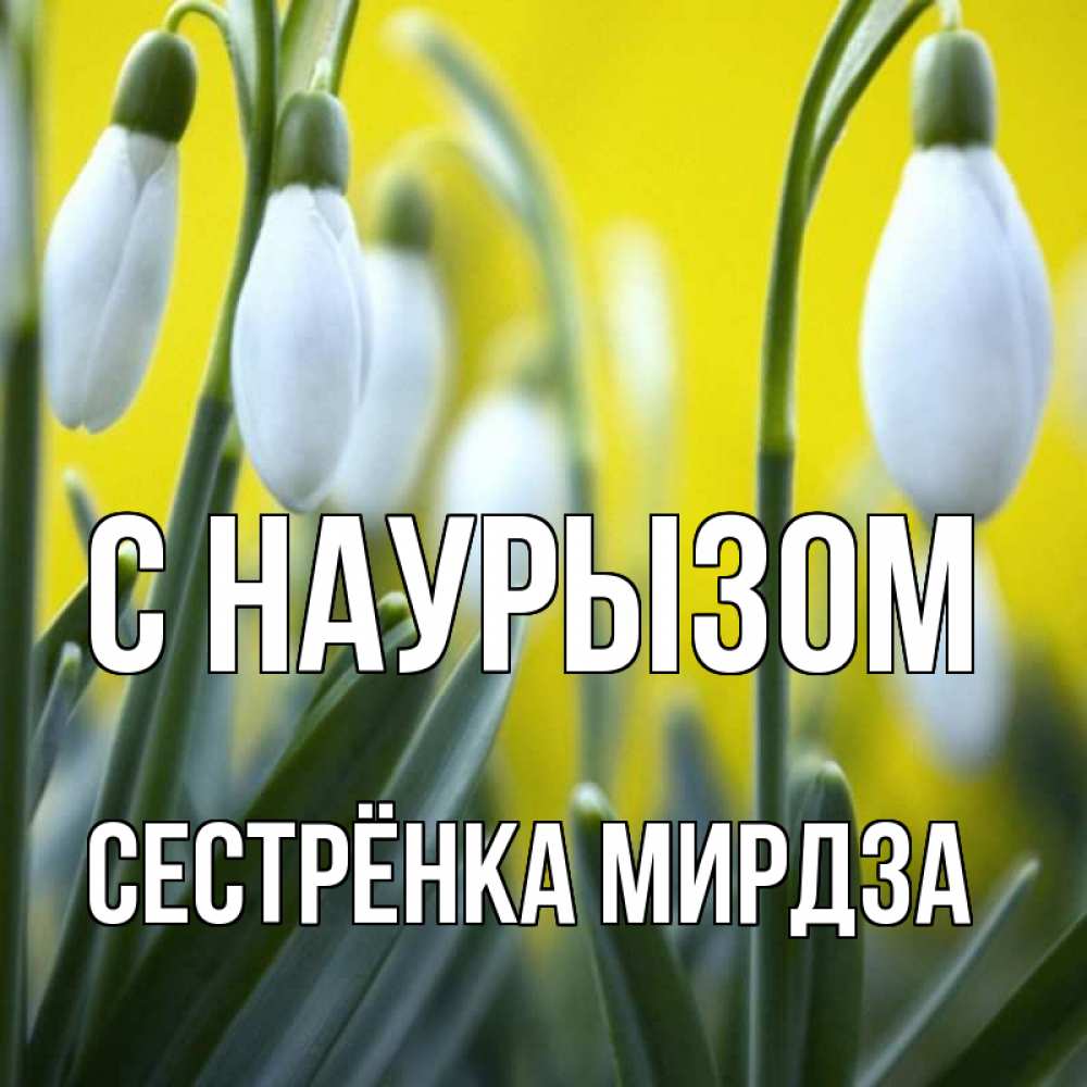 Открытка на каждый день с именем, Сестрёнка-Мирдза С наурызом весенние цветы Прикольная открытка с пожеланием онлайн скачать бесплатно 