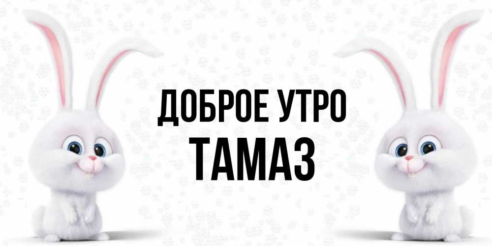 Открытка на каждый день с именем, Тамаз Доброе утро кролики с длинными ушками Прикольная открытка с пожеланием онлайн скачать бесплатно 