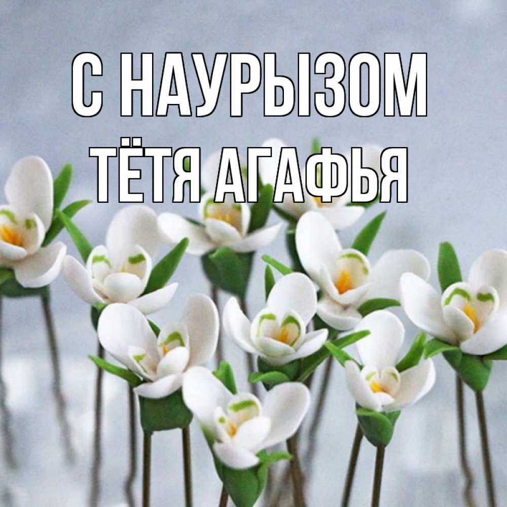 Открытка на каждый день с именем, Тётя-Агафья С наурызом весенние цветы Прикольная открытка с пожеланием онлайн скачать бесплатно 