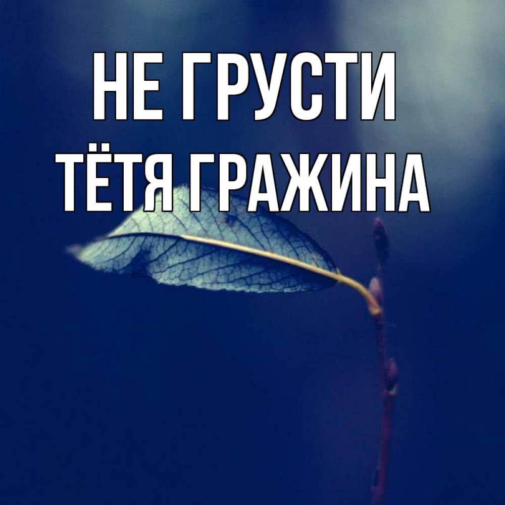Открытка на каждый день с именем, Тётя-Гражина Не грусти растение Прикольная открытка с пожеланием онлайн скачать бесплатно 