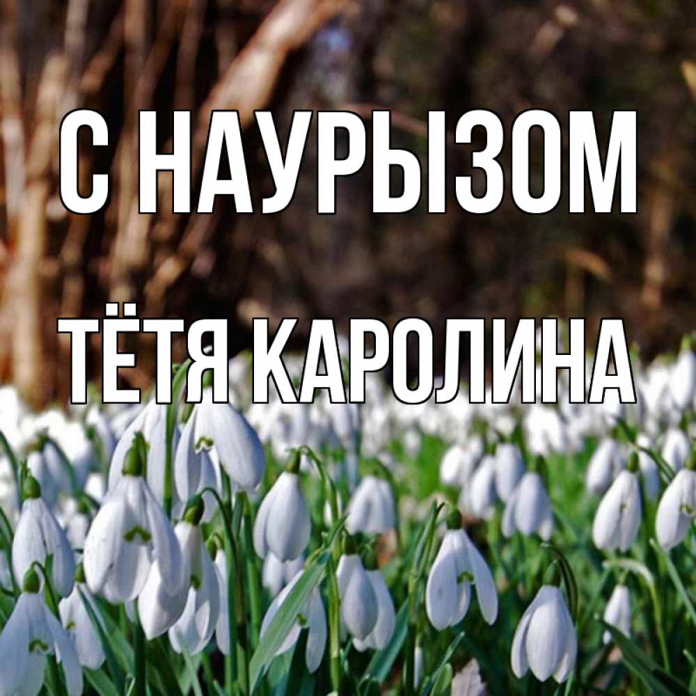 Открытка на каждый день с именем, Тётя-Каролина С наурызом с подснежниками 1 Прикольная открытка с пожеланием онлайн скачать бесплатно 
