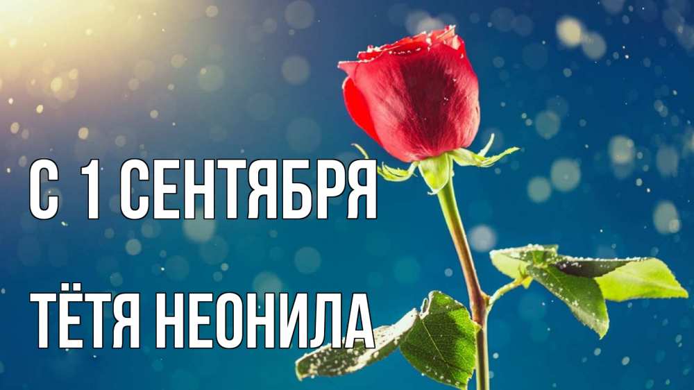 Открытка на каждый день с именем, Тётя-Неонила С 1 сентября с днем знаний Прикольная открытка с пожеланием онлайн скачать бесплатно 