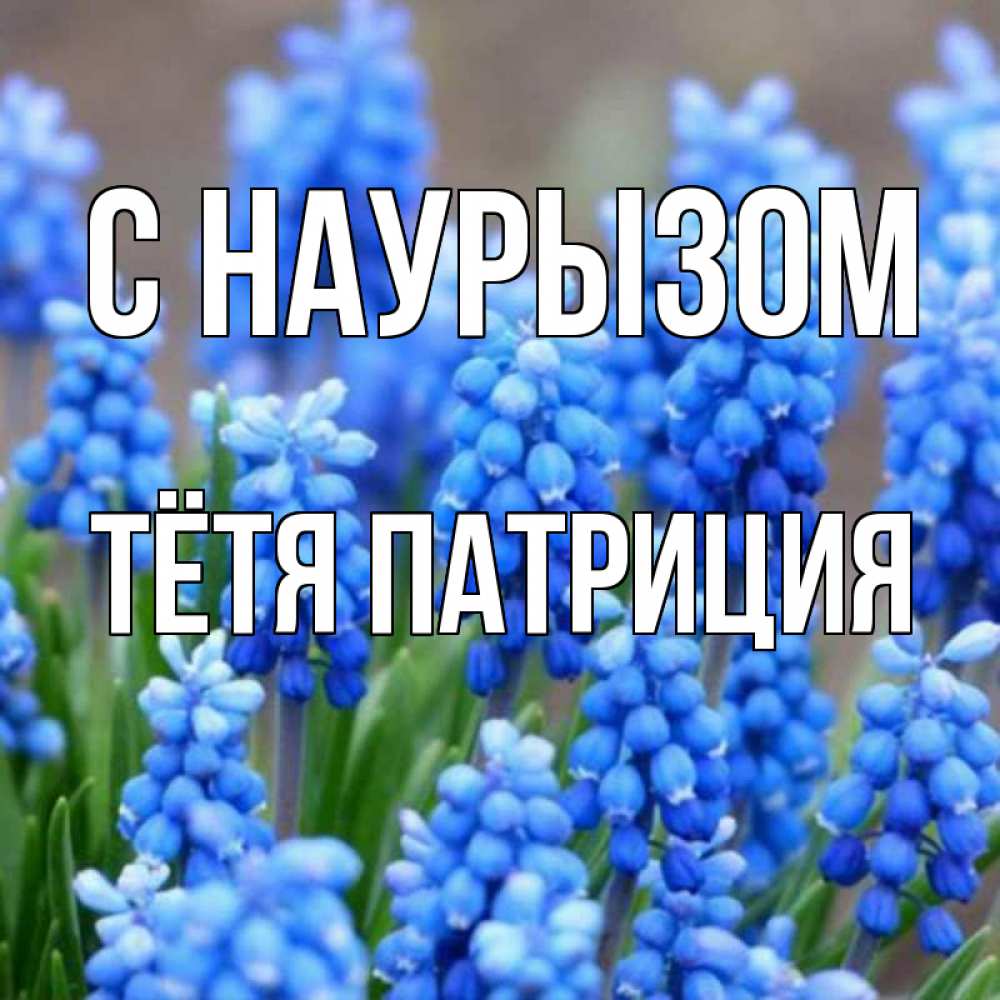 Открытка на каждый день с именем, Тётя-Патриция С наурызом Поздравительная открытка для женщин с цветами на праздничную дату Прикольная открытка с пожеланием онлайн скачать бесплатно 