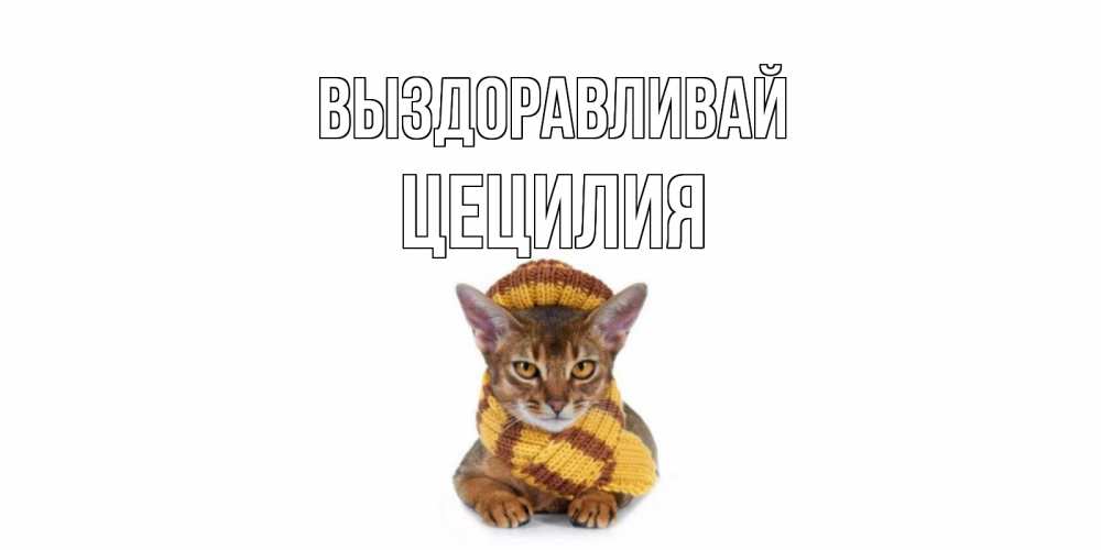 Открытка на каждый день с именем, Цецилия Выздоравливай родные не болейте Прикольная открытка с пожеланием онлайн скачать бесплатно 