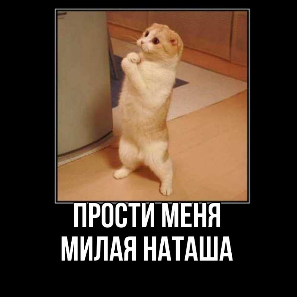 Ну прости картинка
