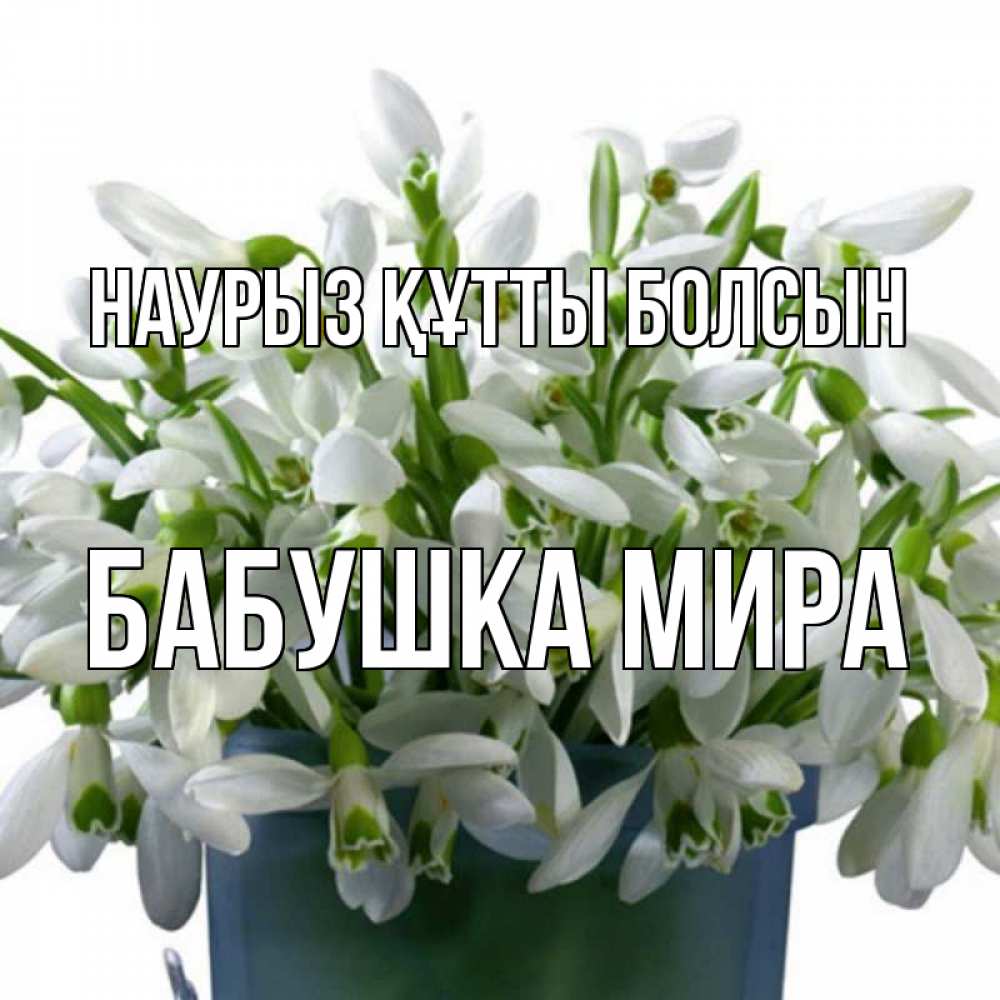 Открытка на каждый день с именем, Бабушка-Мира Наурыз құтты болсын цветы к наурызу Прикольная открытка с пожеланием онлайн скачать бесплатно 