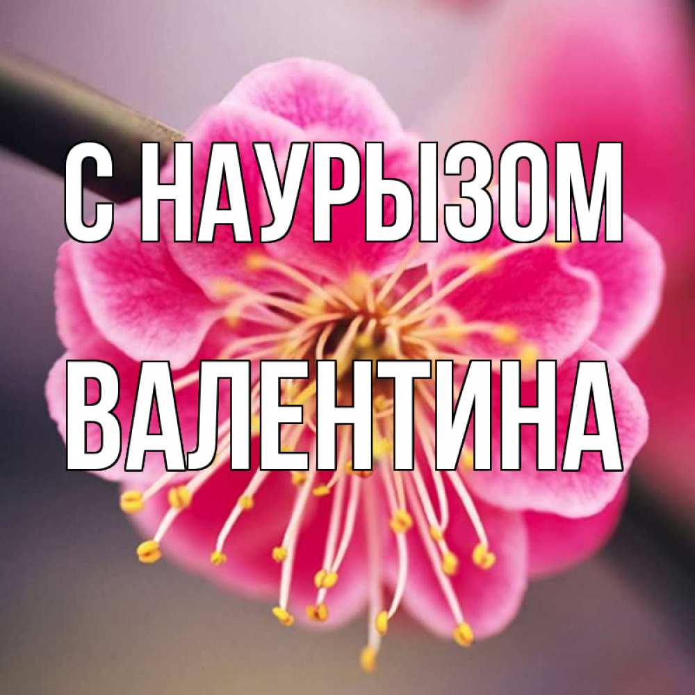 Открытка на каждый день с именем, Валентина С наурызом цветы Прикольная открытка с пожеланием онлайн скачать бесплатно 