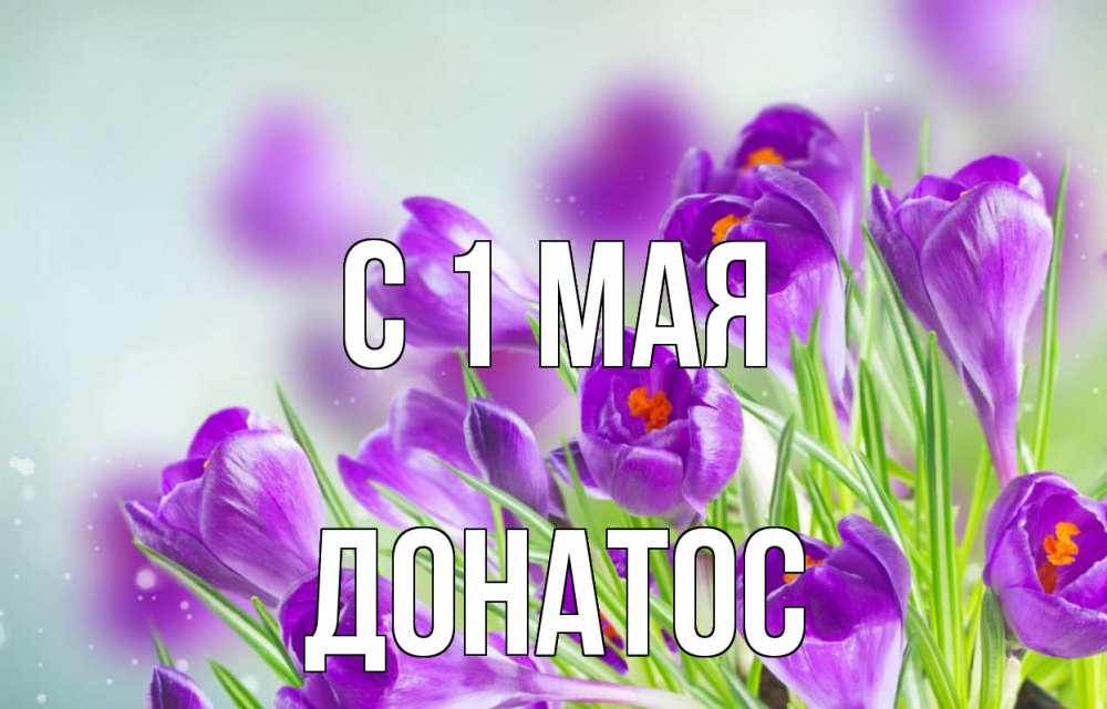 Открытка на каждый день с именем, Донатос С 1 мая 1 мая Прикольная открытка с пожеланием онлайн скачать бесплатно 