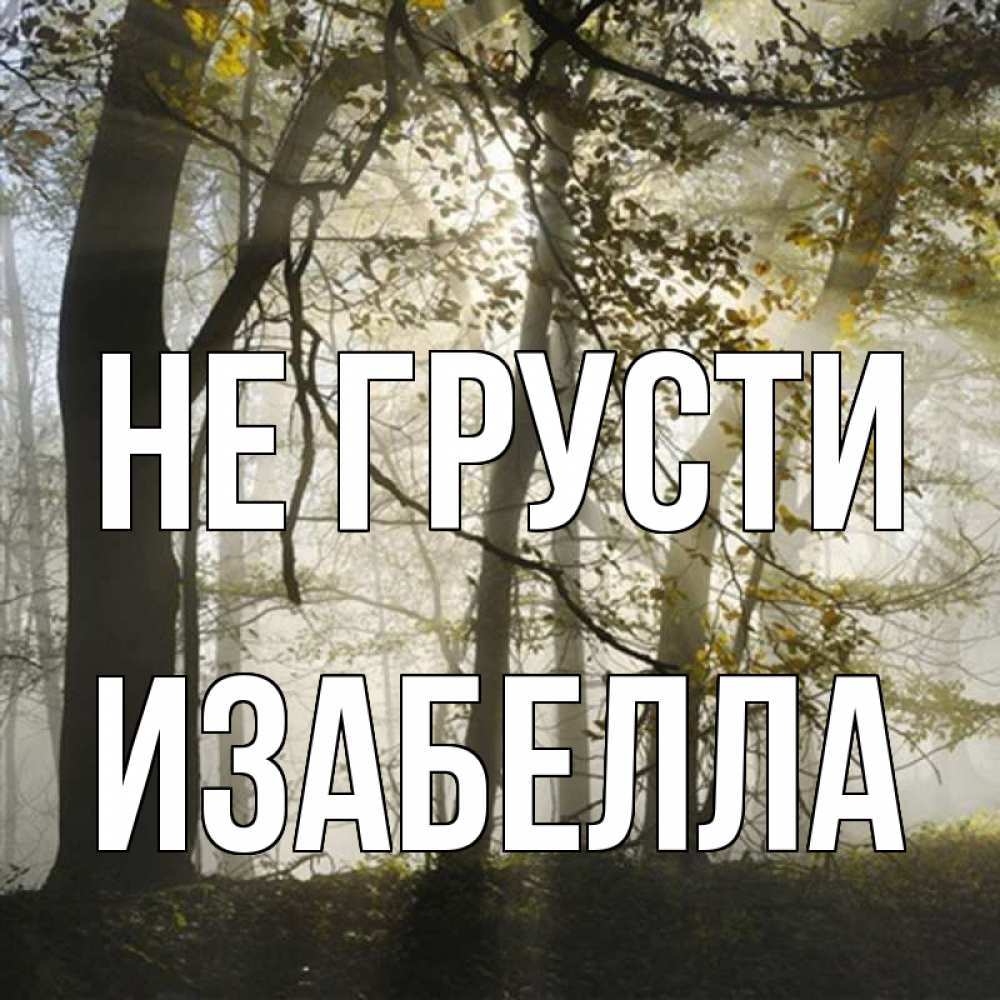 Открытка на каждый день с именем, Изабелла Не грусти лес и свет Прикольная открытка с пожеланием онлайн скачать бесплатно 