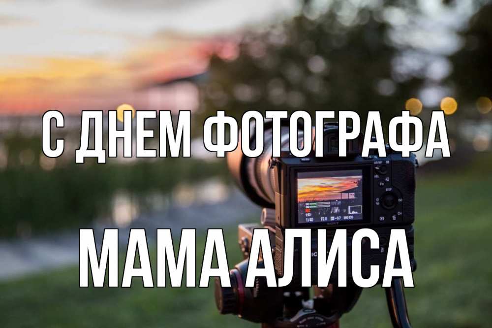 Открытка на каждый день с именем, Мама-Алиса С днем фотографа с днем фотографа Прикольная открытка с пожеланием онлайн скачать бесплатно 