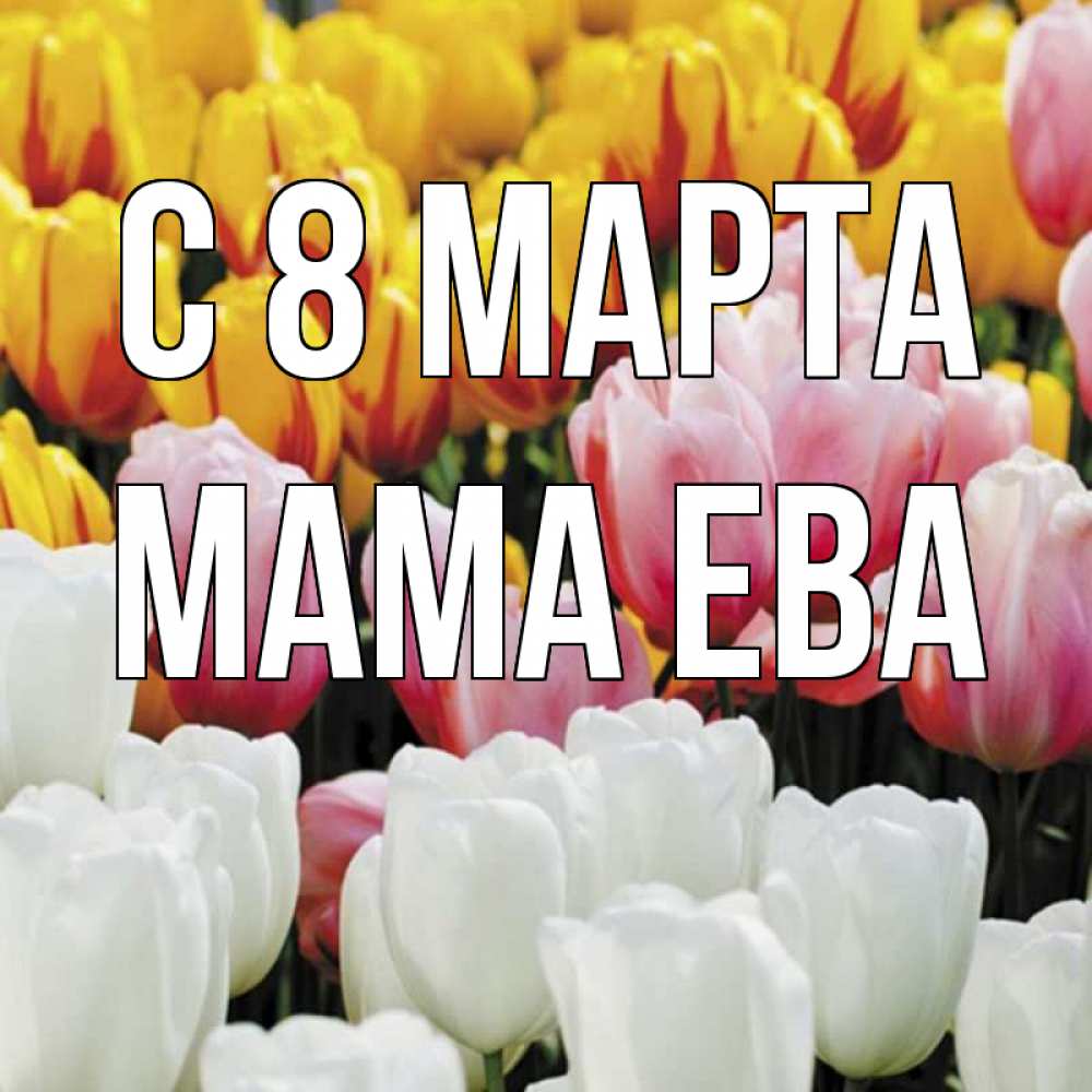 Открытка на каждый день с именем, Мама-Ева С 8 МАРТА разноцветные цветы Прикольная открытка с пожеланием онлайн скачать бесплатно 