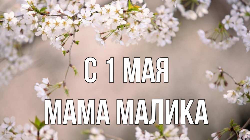 Открытка на каждый день с именем, Мама-Малика С 1 мая С 1 мая Прикольная открытка с пожеланием онлайн скачать бесплатно 