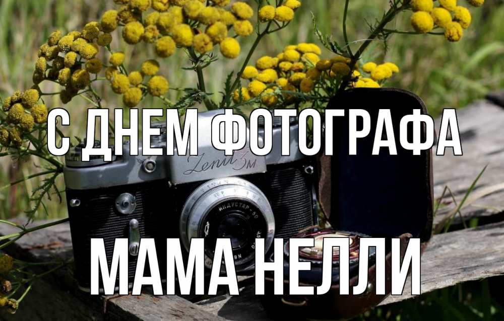 Открытка на каждый день с именем, Мама-Нелли С днем фотографа с днем фотографа Прикольная открытка с пожеланием онлайн скачать бесплатно 