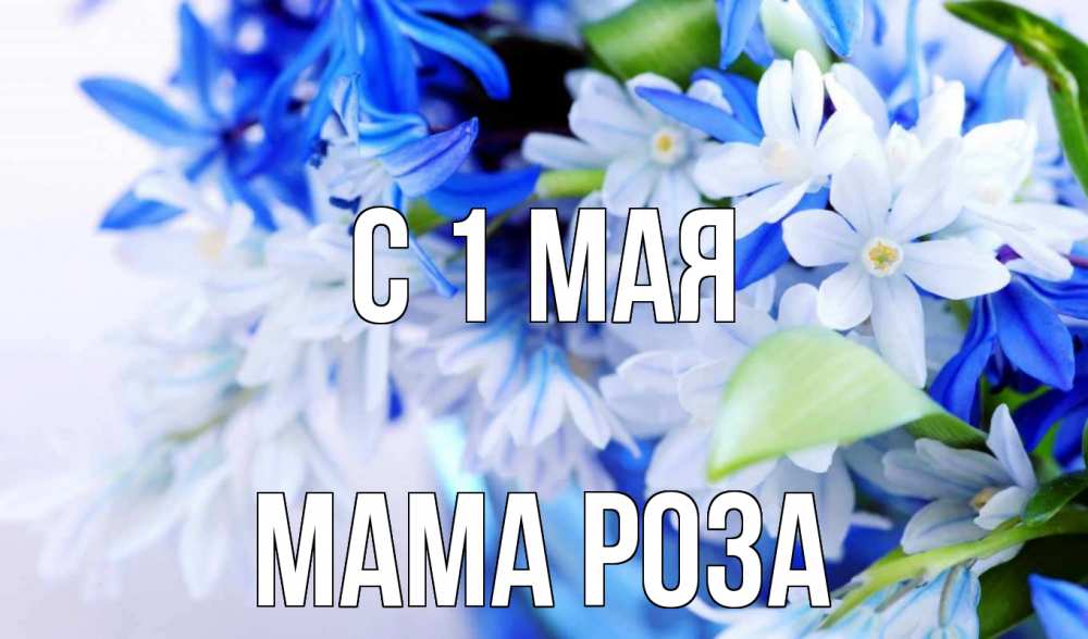 Открытка на каждый день с именем, Мама-Роза С 1 мая С 1 мая Прикольная открытка с пожеланием онлайн скачать бесплатно 