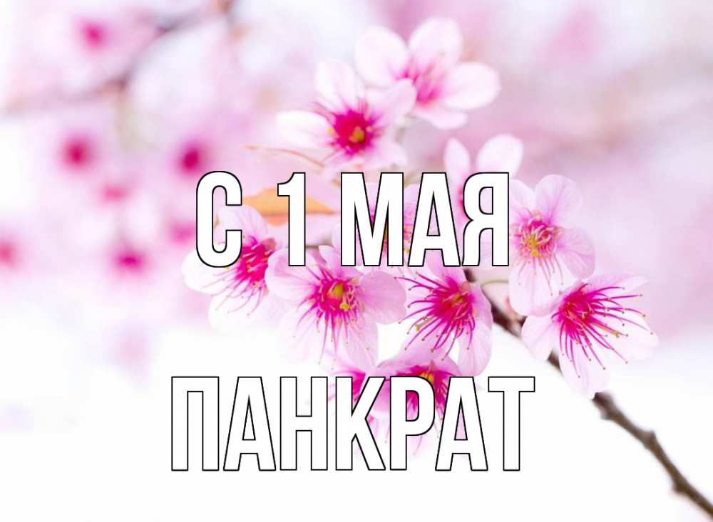 Открытка на каждый день с именем, Панкрат С 1 мая С 1 мая 2 Прикольная открытка с пожеланием онлайн скачать бесплатно 