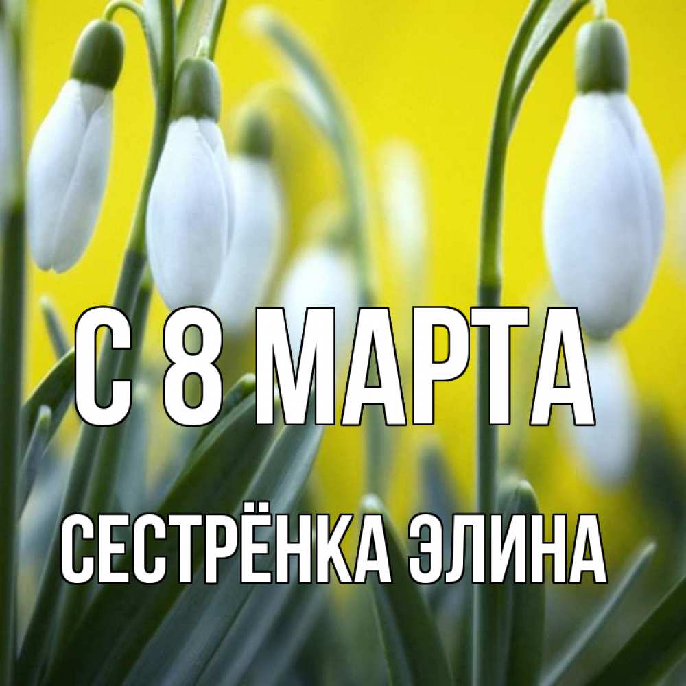 Открытка на каждый день с именем, Сестрёнка-Элина С 8 МАРТА весенние цветы Прикольная открытка с пожеланием онлайн скачать бесплатно 