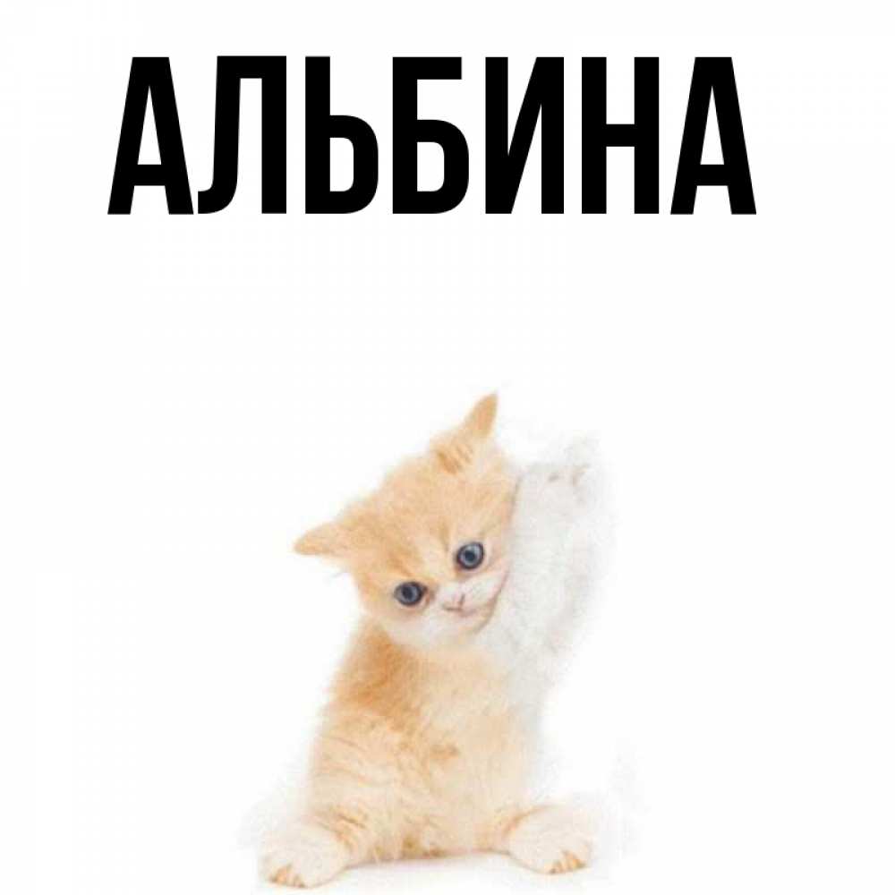 Картинки для альбины