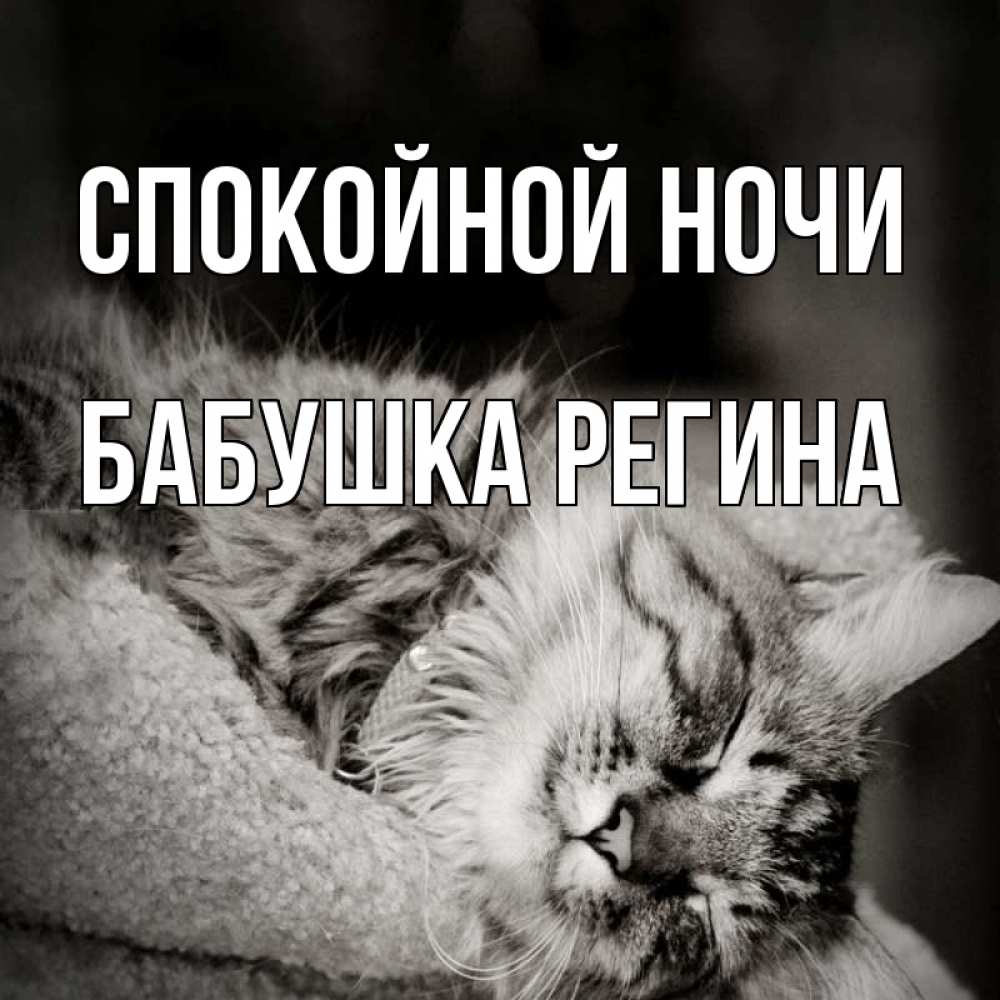 Открытка на каждый день с именем, Бабушка-Регина Спокойной ночи котярик пушистый Прикольная открытка с пожеланием онлайн скачать бесплатно 