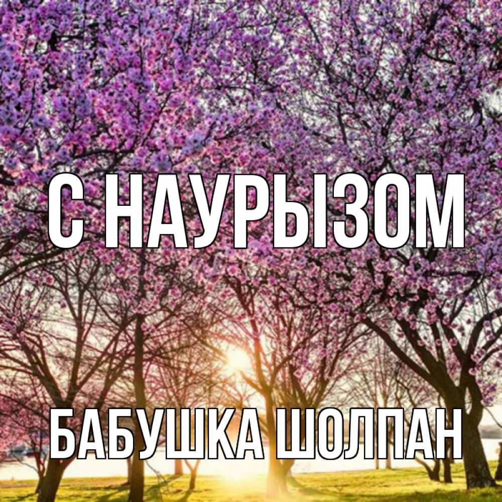 Открытка на каждый день с именем, Бабушка-Шолпан С наурызом праздник весны наурыз Прикольная открытка с пожеланием онлайн скачать бесплатно 